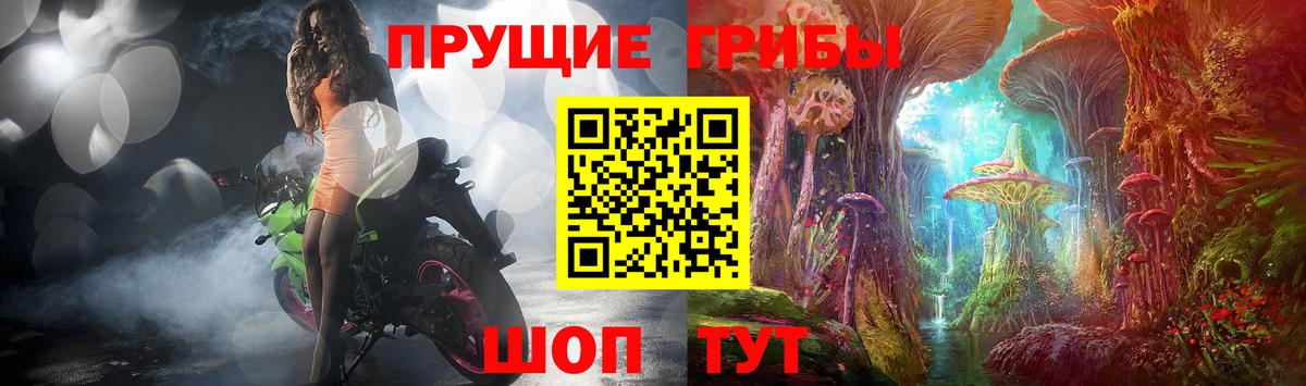 Псилоцибиновые грибы Cubensis  Вход с VPN  Ишим 