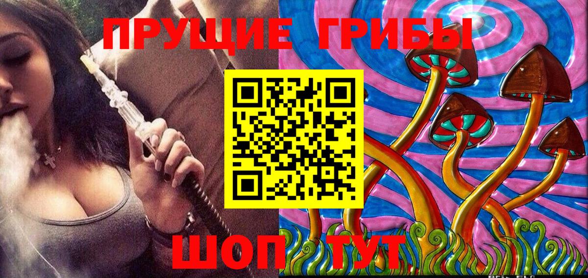 Псилоцибиновые грибы Psilocybine cubensis Ишим